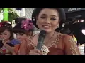 Download Lagu KUTUT MANGGUNG  FULL CAMPURSARI SANGKURIANG