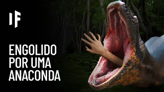 E se você fosse engolido por uma anaconda?