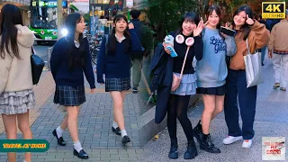 4K HDR Japan Travel 2025 Walk In Shibuya 渋谷 Tokyo Japan Relaxing Natural City Ambience 