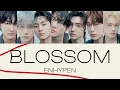Download Lagu 【歌割り】ENHYPEN (엔하이픈) - BLOSSOM