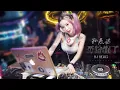 孫燕姿 Stefanie Sun - 開始懂了 Realize • DJ 2017 Remix 舞曲版 | English/Chinese Lyrics 歌詞字幕