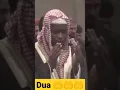 Lagu Beautiful Dua Tilawat by Imam Faisal#shorts #quran #qurantilawat #quranstatus #viralshorts