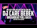 Download Lagu Dj Care Bebek Viral Yang Kalian Cari Full Bass Breakbeat Terbaru Paling Enak Sedunia-Putra Andesta