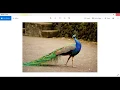 Python Pillow - change or Adjust Image contrast