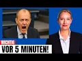 Download Lagu Merz am Boden – AfD übernimmt das politische Kommando