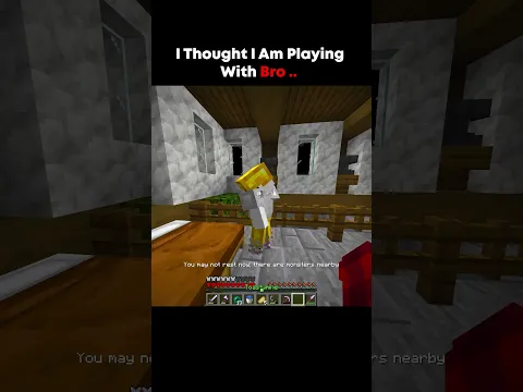 I Thought I am Playing with bro #minecraft #usa