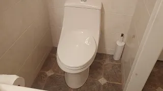 2021 Project Source Laporte toilet master bathroom