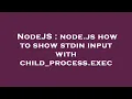 NodeJS node js how to show stdin input with child - process exec