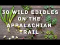 30 Wild Edibles To Forage On The Appalachian Trail