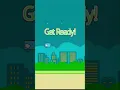 Make Flappy Bird Game in Python Game in Python