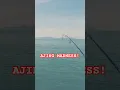 Download Lagu AJING MADNESS! #fishing #ajing #ajingfishing