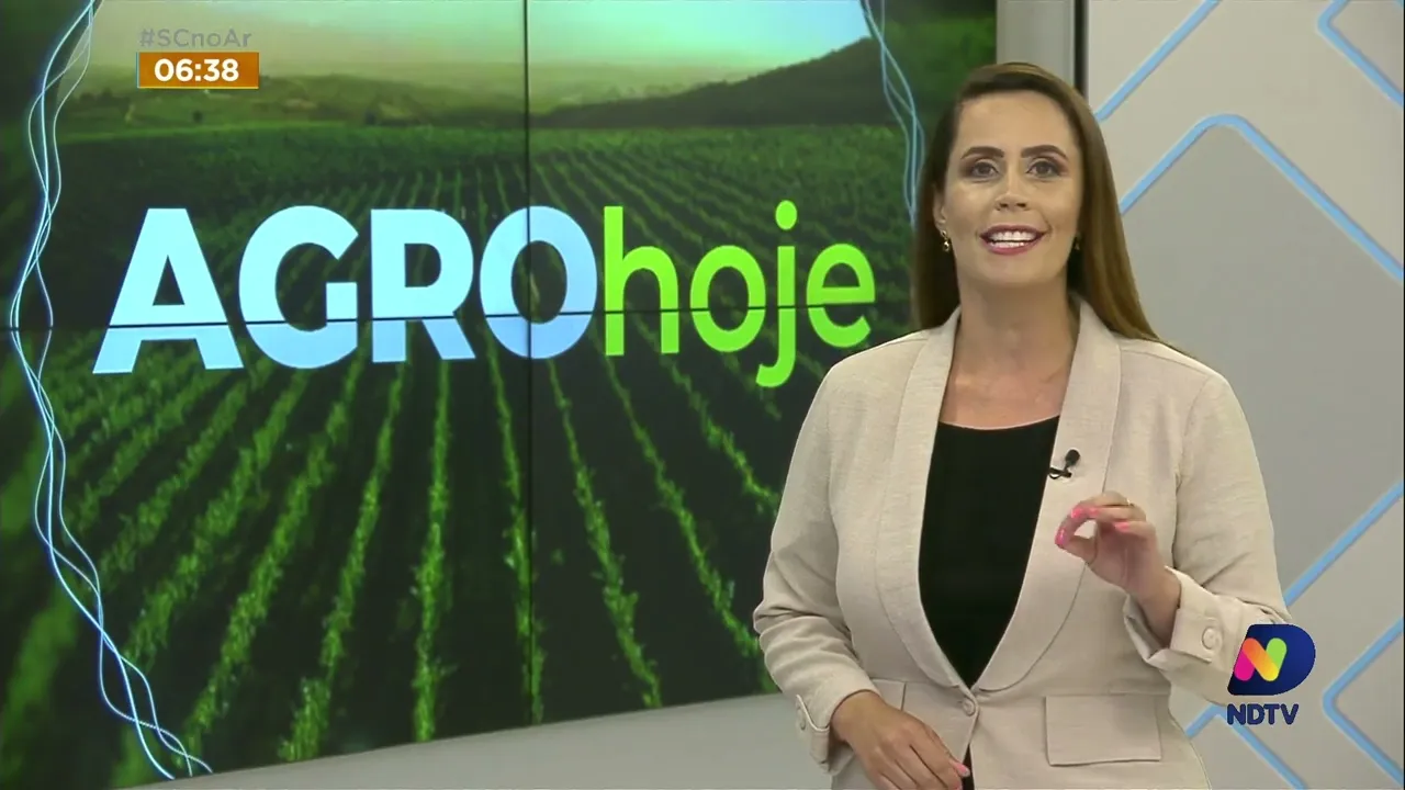 Apicultores catarinenses descobrem nova fonte de renda que traz benefícios à saúde dos consumidores