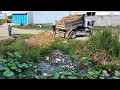 Download Lagu Wonderful New Project!! Start Landfill Delete Garbage In Flooded Pond Use Bulldozer Pushing Soil.