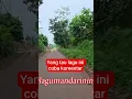 Download Lagu Lagu mandarin Indonesia #lagumandarin #lagumandarinpopuler #popmandarin