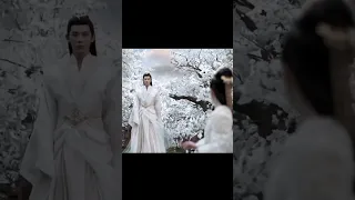 THE LAST IMMORTAL Ending Scene Trending Myfavdrama Rosyzhao Thelastimmortal Edit Cdrama 