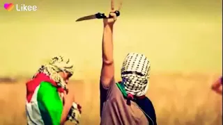 يما مويل الهوى     بدون موسيقى دندنها