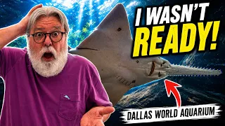 I Visited the Dallas World Aquarium and Was NOT Expecting This Osmo Pocket 4 Nano