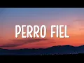 Download Lagu Shakira - Perro Fiel (Lyrics) ft. Nicky Jam