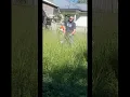 Download Lagu Neglected Lawn #viral #viralvideo #asmr #satisfying @nathanslawnsandgardens