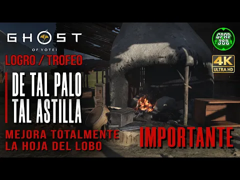 Video del Trofeo De tal palo, tal astilla