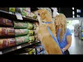 Visit Pet Supermarket - Spoil Your Pet