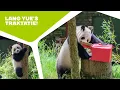 Download Lagu 🎁 EEN TRAKTATIE VOOR HET PANDAJONG