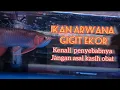 Download Lagu Kenali penyebabnya | Ikan arwana gigit ekor