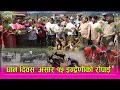 Download Lagu २०८२ साल असार १५ धान दिवसको अवसरमा इन्द्रेणी पुग्यो रोपाई गर्न, यो सालको रोपाई झन रमाइलो ।