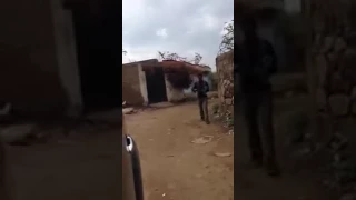 تايه في بلاد الله دندنها
