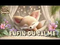 Chuut... Sable le Petit Fennec S'endort 🦊✨ | Berceuse Bébé | 3H de Musique Douce | DreamiZoo