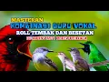 Download Lagu Masteran Kombinasi GURU VOKAL Roll tembak Kasar dan Besetan di jamin mocer MENYALA