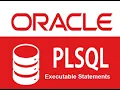 Oracle PL SQL Basic Interacting with the Oracle Server