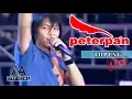 Download Lagu Peterpan - Topeng \