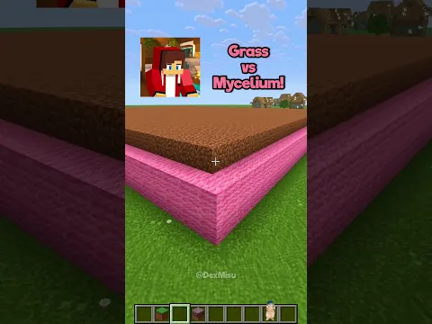 Grass VS Mycelium Block! #minecraft