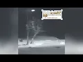 The Black Dog - Digital Poacher (Best Part Looped)