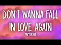 Download Lagu YAYYOUNG - Don't Wanna Fall In Love Again (Lyrics) ft. Ryce, Garrett.
