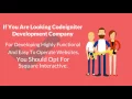 CodeIgniter Development