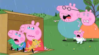 Peppa, Go Home with Evie Pig | Peppa Pig Funny Animation