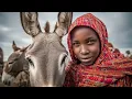 African Tribal Music u0026 Soothing Zulu Vocals | Healing Melodies for Peace u0026 Deep Relaxation