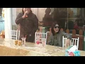 Download Lagu FULL Meet \u0026 Greet  Konsert Kembali Terjalin 2 Singapore bersama Zamani Slam, Ameng  Spring dan SLAM