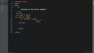Variable and Comments in Javascript