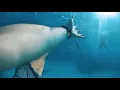 Ed Sheeran feat.  Martin Garrix - When We Were Young (Official Music Video)