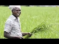 Download Lagu நன்மையை தேடி | நெசவாளர்கள் \u0026 விவசாயிகளின் முக்கியத்துவங்கள் | ASR Tamil 