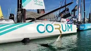 WoW Vendee Globe Report #23 CORUM Dismasted, Thomson Ahead Days 7-8