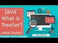 What is TreeSet in Java Java TreeSet Java Tutorial