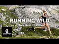 Download Lagu Running Wild | A Story About Iris Pessey