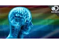 What Does The Transgender Brain Look Like
