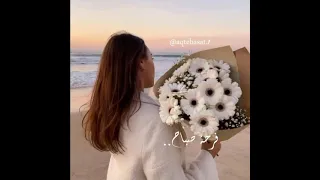 دانا حوراني   إنت أنا   تصميم حالات واتس دندنها