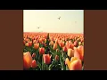 Download Lagu Neem Mijn Hart