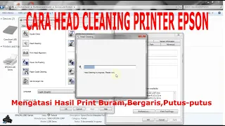 how to clean the epson l120 l220 l210 l300 printer head